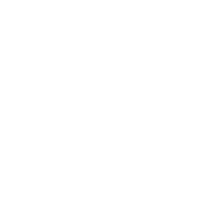 the word history in extremely large type